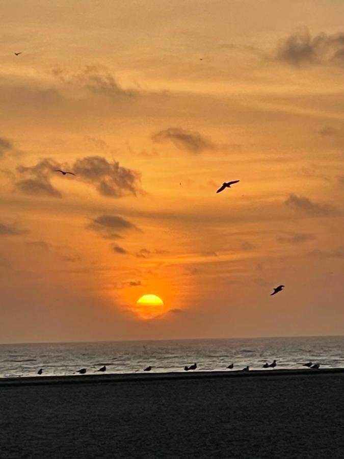 Dina Beach House Quinzico Nazaré Dış mekan fotoğraf